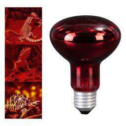 Réptil Lâmpada de Aquecimento para Pet Heat Lights, Lâmpada Iluminação Dispositivo, Fonte de Aquecimento, Vivarium Terrarium, Geckos Amphibian, 100W - Image 3