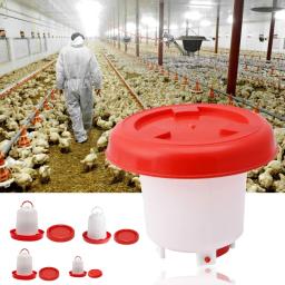 Bebedouro alimentador aves para pintinhos, capacidade 2,5L para pássaros frango estimação - Image 1