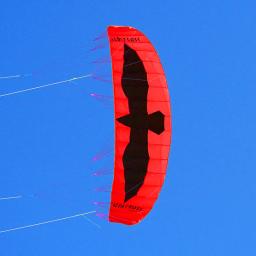 Grande Quad Line Power Kite para Adultos, Parafoil Board, Surf para Surf, Frete Grátis, 5 m - Image 6