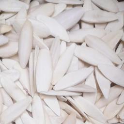 Suplementos naturais de cálcio para papagaio, Chew Osso Chew Brinquedos, Cockatiel Parrot Parrot - Image 3