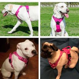 Cão de estimação arnês reflexivo ajustável respirável colete cinta no peito para pequeno médio grande cão gato cachorro coleira accessoires - Image 3