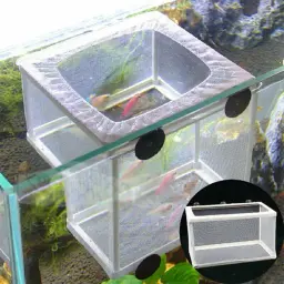 Aquário Isolamento Box, Fish Incubatório Net, Fish Breeding, Isolamento Ventosa, Acessório Caixa Fixa, Peixe Cuidados Suprimentos - Image 4