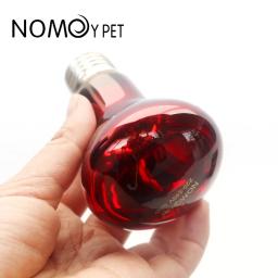 Lâmpada de calor réptil, Lâmpada de ponto basking infravermelho, Lâmpadas répteis, Serpente Anfíbia, Luz Terrario, 110V 220V, 25W, 50W, 100W - Image 3