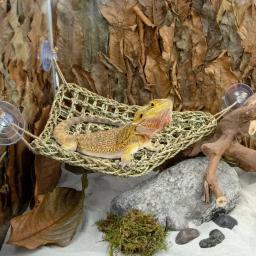 Dragão barbudo Hammock para répteis, espreguiçadeira para camaleão, lagartos, lagartixa, cobras, guana, répteis, lagartixas, grama almofada pet cama, balanço - Image 5