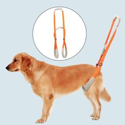 Cão levantamento arnês animais de estimação ajustável útil voltar quadril apoio mobilidade pernas fracas deficientes articulação cães mais velhos elevador animais de estimação hind - Image 1