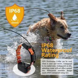 Coleira para cães Eseek GPS com rastreamento de rádio, localização em tempo real para cães de caça, coleira de treinamento à prova d'água, longo alcance, vários cães - Image 4