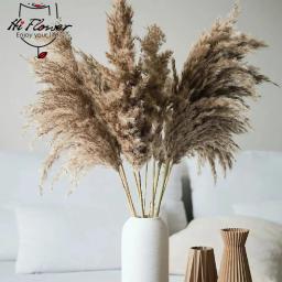 30 pçs flores secas natureza fofo pampas grama para festa de casamento decoração coelho cauda de coelho canas flores artificiais decoração de casa - Image 1