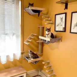 Prateleira de escalada na parede para gatos, Passos, Escada com corda de sisal, Arranhando Post, A maioria dos gatinhos dormindo - Image 6