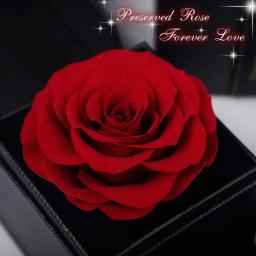 Rosa preservada com caixa de presente, rosa eterna, presente do dia dos namorados para ele, ela, namorada, namorado, dia das mães aniversário - Image 3