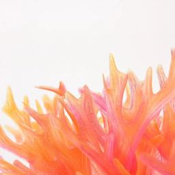 Decoração para aquário, tanque de peixes, plantas aquáticas, rosa, grama, coral, pequeno, decoração artificial - Image 5
