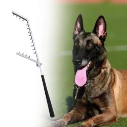 Leve bastão de treinamento para cães Equipamento de treinamento para cães Ferramenta de treinamento de cachorro resistente ao ar livre e interior - Image 3