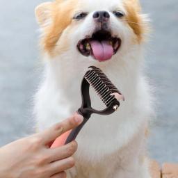 Aparadores de unhas para animais com lixa e pente, corta unhas, acessórios de higiene para cães e gatos, seguros - Image 3