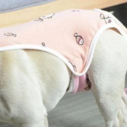 Calças Sanitárias para Cães com Faixa Ajustável, Shorts Menstruação, Fralda de Cachorro, Cuidados de Saúde, Pet Elástico, Calças Fisiológicas para Interior - Image 4