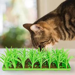 Silicone Slow Food Mat para animais de estimação Alimentador lento Cães Snuffle Pad Almofada de lamber gatos Tapete antiderrapante, Pet Shop, Acessórios para cães - Image 4