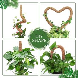 Conjunto de pólos de musgo altos com cordas de juta naturais, suportes de plantas duráveis para Monstera, Sphagnum e Pothos, Pack 2 - Image 2