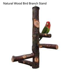 Apple Tree Wood Bird Branch Stand, Poleiros Poleiros, Pet Parakeet, Budgie Pendurado Play Toy, Gaiola De Pássaro, Papagaio Suporte De Mesa De Madeira - Image 1