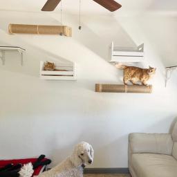 Wall Mounted Escalada Prateleira com Sisal Coçar e Ponte Passo Bed Móveis para Gatos, Prateleiras e Poleiros, Hammock - Image 1