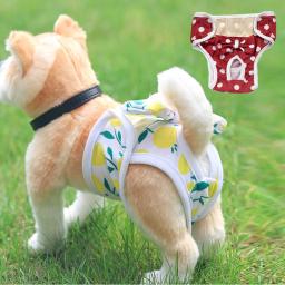 Calças Fisiológicas Respiráveis com Laço, Roupa De Fralda De Cachorro, Roupa Interior De Elasticidade, Calcinha Bonita para Cachorro e Gato, Pet Shop - Image 1