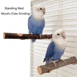 Madeira Natural Stand Rack para Pet, garfo de madeira crua, poleiros ramo de árvore, mastigar mordida brinquedos, esquilo e pássaro, poleiros de hamster, 1PC - Image 2