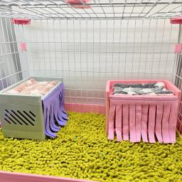 Suave confortável Hide House Bed Tassel porta cortina, lavável pequenos animais, gaiola de hamster, acessórios para cobaia, Pet Supplies - Image 2