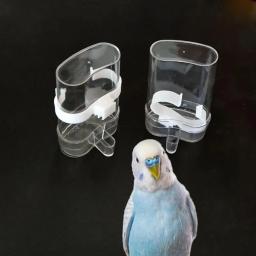 Alimentador automático de água para papagaio, tigela, alimentação dispensador, pet fornecimentos - Image 2