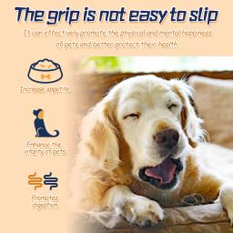 Pet Nutrição Suplemento para Digestão Saúde, Cuidados Gastroinários, Estômago Condicionado, Melhorar o Apetite, Dog Health Drop - Image 6
