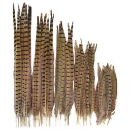 Penas naturais de feisão para artesanato, decoração de penas grandes, extensões de roupas na cabeça, plumas de carnaval, 10-75cm - Image 1