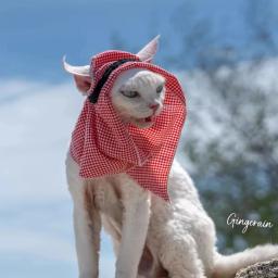 Halloween O Oriente Médio Pet Headscarf Hat, árabe Sunscreen Cap, chapéu do gato, criativo orelha Baring Headwear, Pet fornecimentos - Image 5