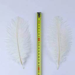 10 pçs natural branco avestruz penas artificiais para decoração 15-70cm festa de casamento plumas decorativas atacado - Image 6