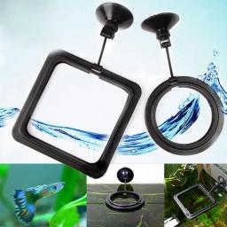 Plástico flutuante alimentador de alimentos para aquário, peixe alimentação suprimentos, flutuabilidade círculo, quadrado e redondo anel de alimentação, tanque de peixes acessório - Image 3