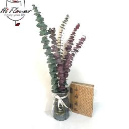 5/10 pçs natural preservado eucalipto deixa grande ramo arranjo de flores diy artesanato decoração casa seca folhas de eucalipto - Image 1