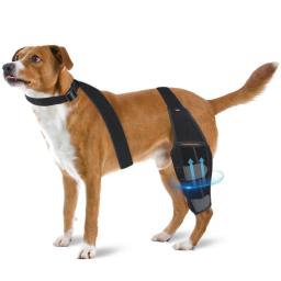 Almofadas de Proteção Ajustável para Animais De Estimação, Leg Brace, Joelho Wrap, Suportes para Cães, Correias de Apoio, Acessórios para Cães - Image 6