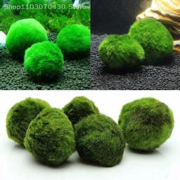 Bolas de musgo Marimo para aquário vivo, algas vegetais, peixe e camarão, ornamento de aquário, planta artificial verde, 3-4cm - Image 1