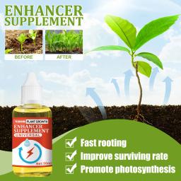 Raiz de enraizamento rápido crescimento, Enhancer crescimento vegetal, Promove Suplemento, Fontes de jardim, Planta de flor, Árvore frutíferas - Image 6