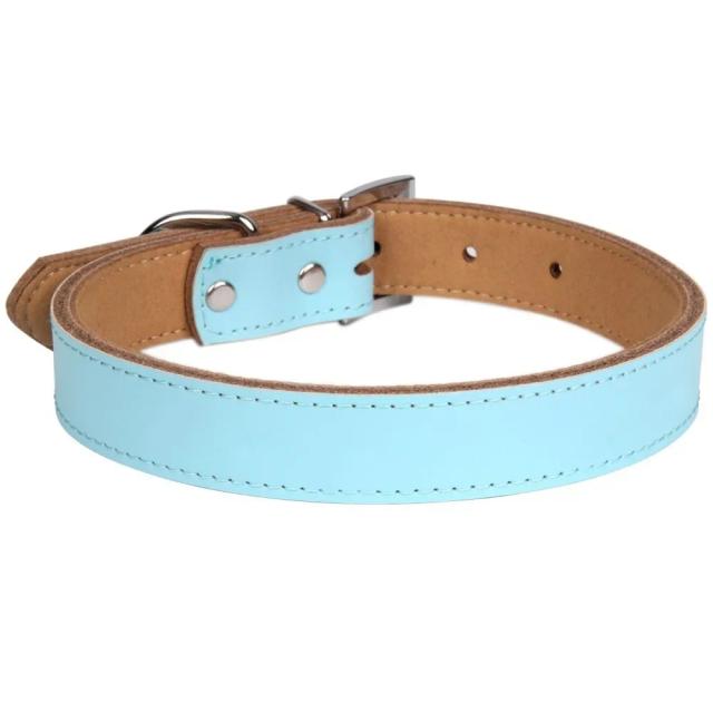 Coleira de Couro Genuíno para Cães - Durável, Tamanhos XS a L, Disponível em Várias Cores