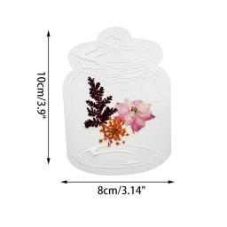 Marcador artesanal de flores secas, envoltório plástico para amostra de plantas, vaso pressionado transparente, marcador de página, Material DIY, 20 pcs por conjunto - Image 6