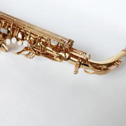 Saxofone Alto com Acessórios para Estojo, Latão Dourado Laca, Instrumento de Música, Sax E-Flat, Nova Chegada - Image 3