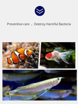 Tratamento Tropical Universal de Purificação de Água, Comprimidos Tanques de Aquário, Medicamento para Peixes, Fungicida de Amplo Espectro-ANTIBIÓTICOS, 100 unid - Image 2