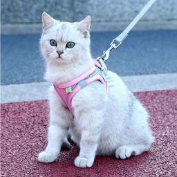 Gato do animal de estimação arreios e trela conjunto reflexivo respirável arnês para gatos conforto ajustável arnês do cão para gatinho suprimentos para animais de estimação - Image 4