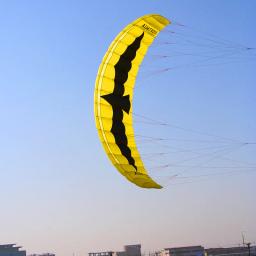 Grande Quad Line Power Kite para Adultos, Parafoil Board, Surf para Surf, Frete Grátis, 5 m - Image 1