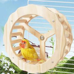 Roda de exercício para papagaio, roda giratória interativa, pássaros de madeira, brinquedos, gaiola, acessórios para conures, periquitos, papagaios, calopsitas - Image 3