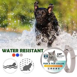 Ajustável Pet Collar, Anti Flea, Flea, Tick, piolho de ácaro, Pet Protect, Repel Colar de Borracha, Pet Supply, 38m - Image 1