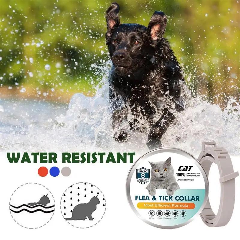 Ajustável Pet Collar, Anti Flea, Flea, Tick, piolho de ácaro, Pet Protect, Repel Colar de Borracha, Pet Supply, 38m - Image 1