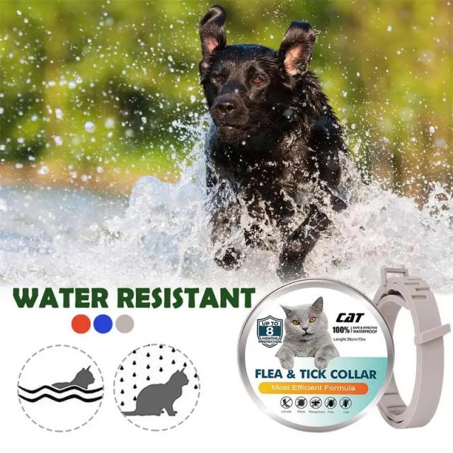 Colar Ajustável para Pets com Proteção Antipulgas e Carrapatos - Suprimento Ideal para a Saúde do Seu Animal de Estimação