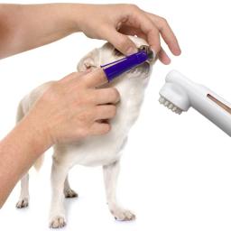 Kit de Controle Tártaro para Animais de Estimação, Creme Dental, Escova Dental, Kit Cuidados Odontológicos para Gato, Limpeza Dentes, Grooming Suprimentos, 4PCs - Image 6
