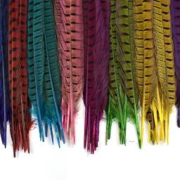Penas de feisão naturais coloridas para artesanato, decoração de penas grandes longas, acessórios de carnaval decoração, atacado, 40 a 45cm - Image 6