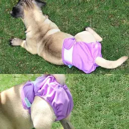 Fraldas laváveis para cães fêmeas, fraldas reutilizáveis para cães, altamente absorventes, à prova de vazamento, fralda de cachorro para fêmea - Image 5