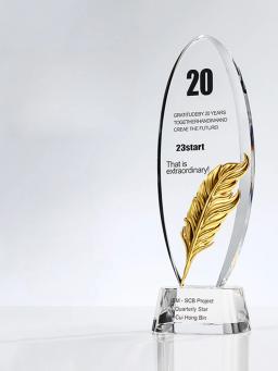 Troféu Criativo Personalizado, Troféu De Cristal De Alto Grau, Prêmio De Equipe De Empresa, Pin Da Coroa, Novo, Personalizado - Image 2
