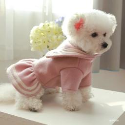 Vestido princesa espessado quente para animais de estimação, vestuário para cães e gatos, adequado para cães de pequeno e médio porte, rosa, dourado, outono, inverno, 1pc - Image 6