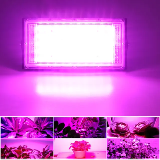 Lâmpada LED Full Spectrum para Estufas e Hidroponia - Imitando Luz Solar, 50W, 220V, Plug UE